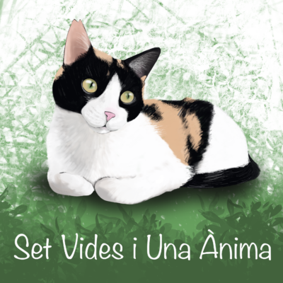 Set vides i una anima